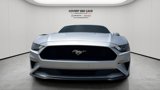 Used 2019 Ford Mustang Coupe image 3