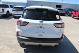 Used 2020 Ford Escape SEL image 5