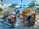 View Video