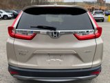 Used 2019 Honda CR-V EX-L image 6