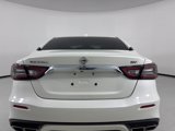 Used 2019 Nissan Maxima 3.5 SV image 4