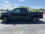 Used 2023 Ford F150 XLT w/ Equipment Group 302A High image 4