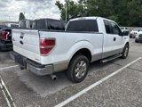 Used 2014 Ford F150 XLT w/ XLT Chrome Package image 2
