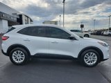 Used 2022 Ford Escape SE w/ Convenience Package image 2