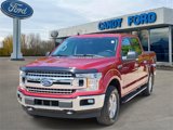 Used 2019 Ford F150 XLT w/ Equipment Group 302A Luxury image 2