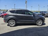 Used 2019 Ford Escape SEL image 6