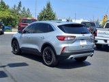 Used 2020 Ford Escape SE image 4