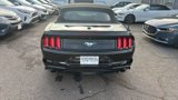 Used 2019 Ford Mustang Premium image 5