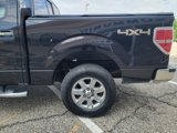 Used 2013 Ford F150 XLT w/ Luxury Equipment Group image 6