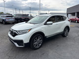 Used 2020 Honda CR-V Touring image 3