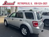 Used 2009 Ford Escape XLT image 3