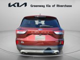 Used 2021 Ford Escape SE image 5