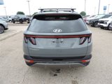 Used 2024 Hyundai Tucson Limited image 5