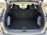New 2025 Ford Escape Active image 5