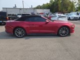 Used 2019 Ford Mustang Premium w/ Equipment Group 201A image 2