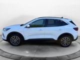 Certified 2023 Ford Escape SE image 2