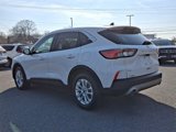 Used 2020 Ford Escape SE image 4