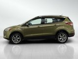 Used 2014 Ford Escape Titanium image 2