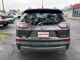 Used 2019 Jeep Cherokee Limited w/ Luxury Group image 6