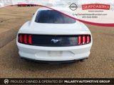 Used 2019 Ford Mustang Coupe image 5