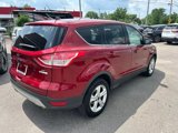 Used 2015 Ford Escape SE image 5