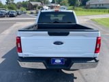 Used 2023 Ford F150 XLT image 3