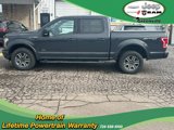 Used 2016 Ford F150 XLT w/ Equipment Group 302A Luxury image 2