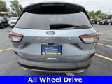 Certified 2022 Ford Escape SEL image 6