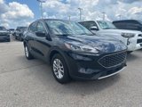 Used 2021 Ford Escape SE image 3