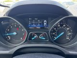 Used 2019 Ford Escape SEL image 5