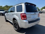 Used 2011 Ford Escape XLT w/ Sport Appearance Pkg image 3