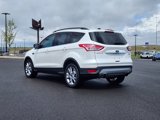 Used 2014 Ford Escape SE w/ Equipment Group 201A image 3