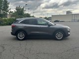 Certified 2022 Ford Escape SE image 4