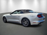 Used 2017 Ford Mustang Premium image 5