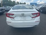 Used 2020 Honda Accord EX-L image 6