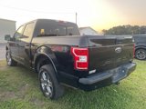 Used 2019 Ford F150 XLT w/ Equipment Group 302A Luxury image 4