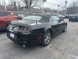 Used 2014 Ford Mustang Premium image 4
