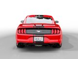 Used 2019 Ford Mustang Premium w/ Ecoboost Performance Package image 4