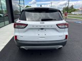 Used 2022 Ford Escape SE w/ Cold Weather Package image 4