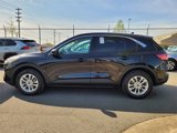 Used 2021 Ford Escape SE image 3