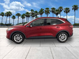 Used 2020 Ford Escape SE image 5