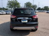 Used 2014 Ford Escape Titanium w/ Equipment Group 401A image 4