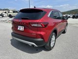 Used 2023 Ford Escape Active image 3