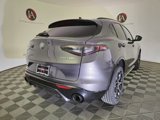 New 2025 Alfa Romeo Stelvio Sprint w/ Veloce Package image 3