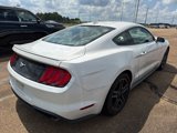 Used 2021 Ford Mustang Premium image 3