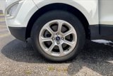 Used 2019 Ford EcoSport SE w/ SE Convenience Package image 3