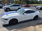 Used 2019 Ford Mustang Coupe w/ Ecoboost Performance Package image 5