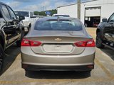 Used 2024 Chevrolet Malibu LT image 5