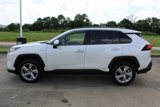 Used 2019 Toyota RAV4 Limited image 2