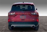 Used 2020 Ford Escape SEL image 5
